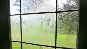 A frosted window with a view of a green lawn and a wooden deck.