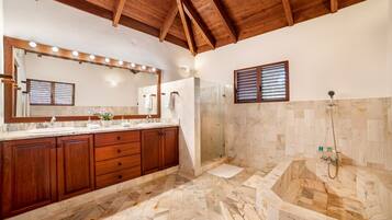 Combined shower/bathtub, jetted bath, hair dryer, bidet
