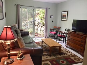 Smart TV, caminetto, lettore DVD, libri