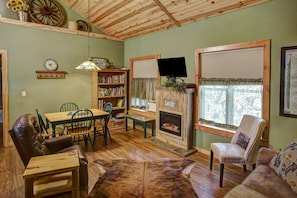 TV, fireplace, DVD player, books