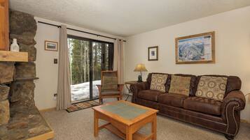 TV, fireplace, books