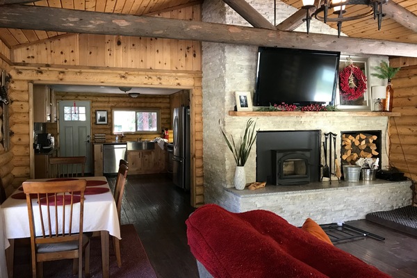 Smart TV, fireplace, DVD player, books