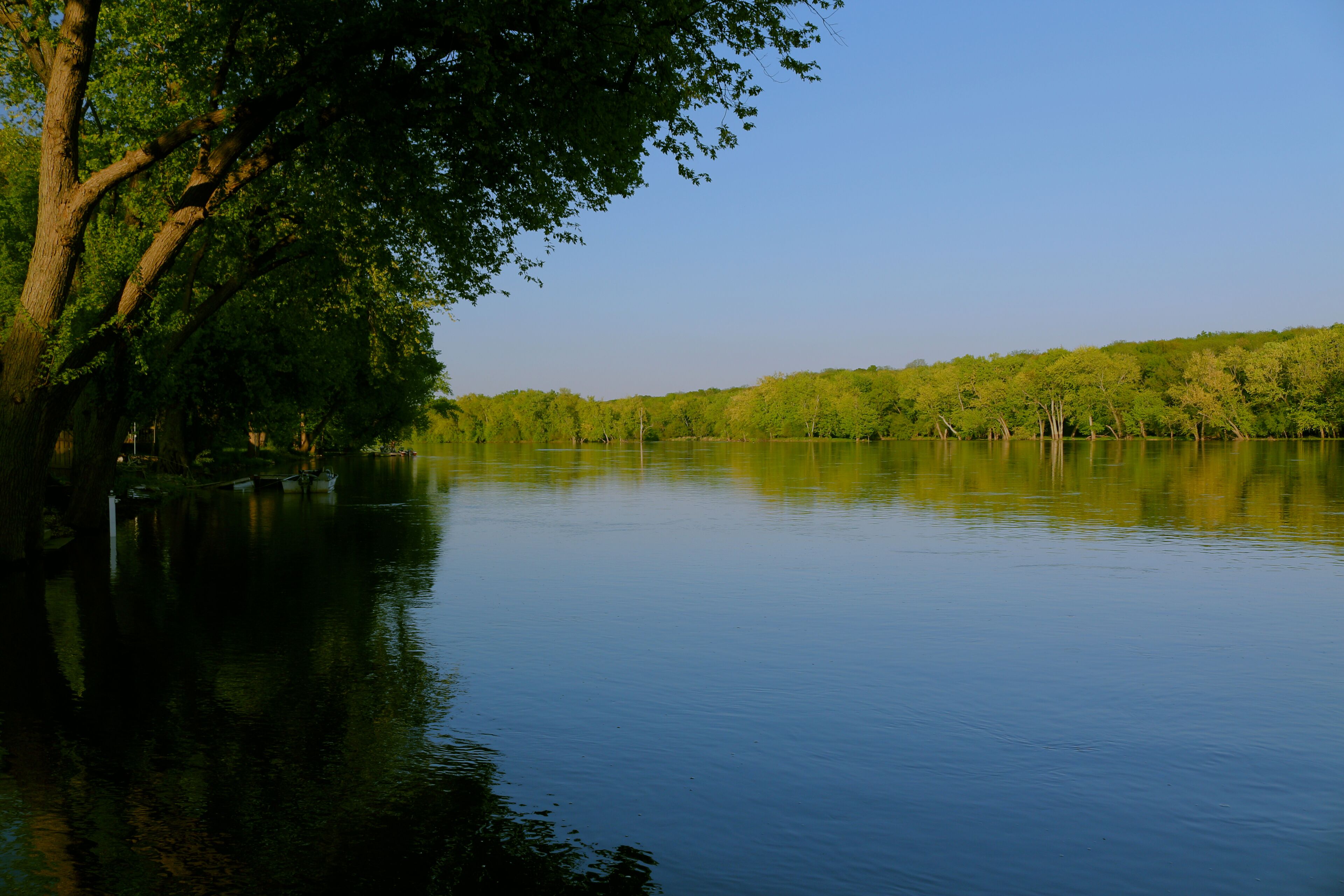 Un lago sereno con un bosque denso a un lado y un cielo despejado arriba.
