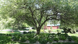 Un gran árbol con un jardín bien cuidado al frente.