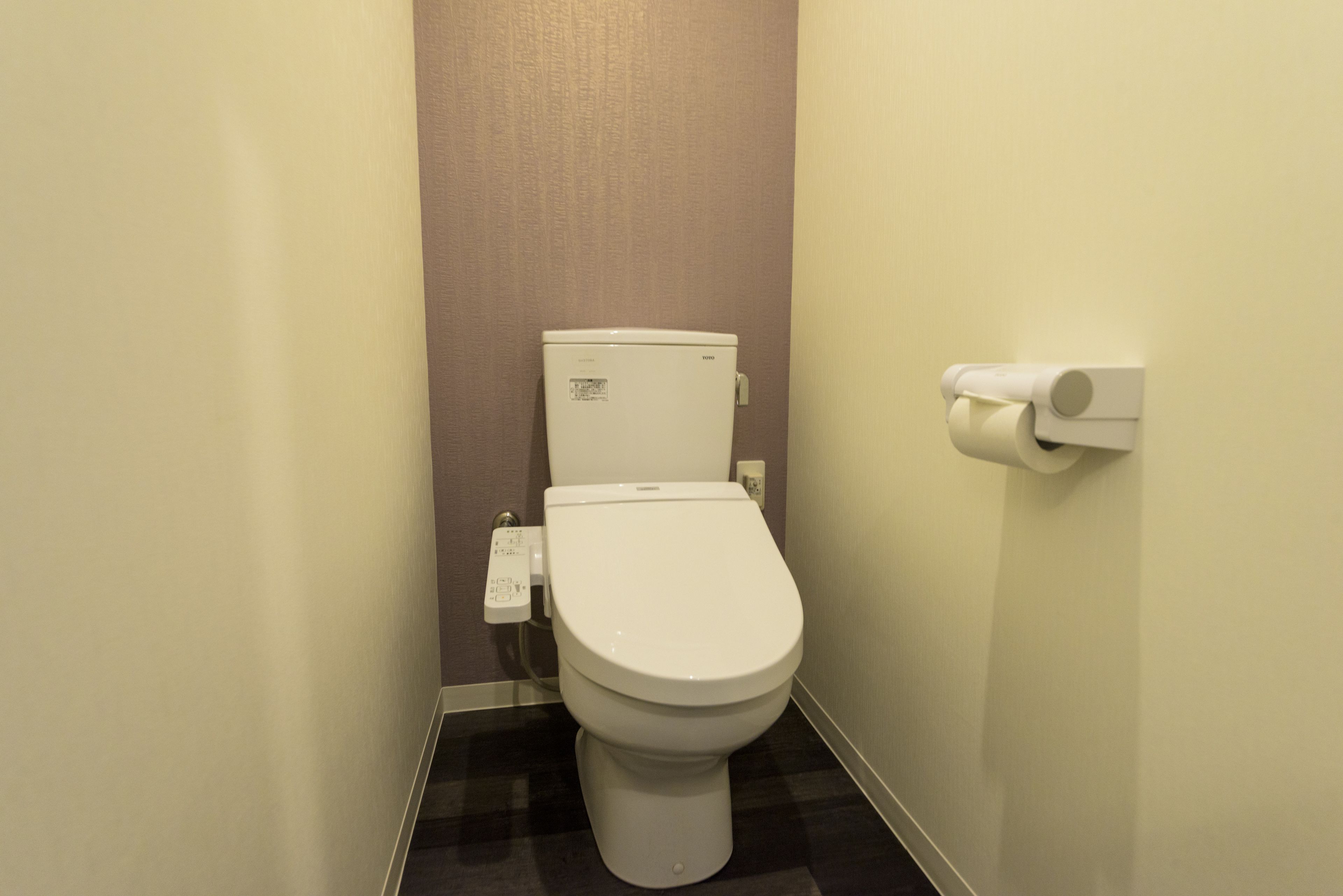 Une petite salle de bain moderne avec des toilettes blanches, un porte-rouleau de papier toilette et un panneau de commande sur le côté gauche.