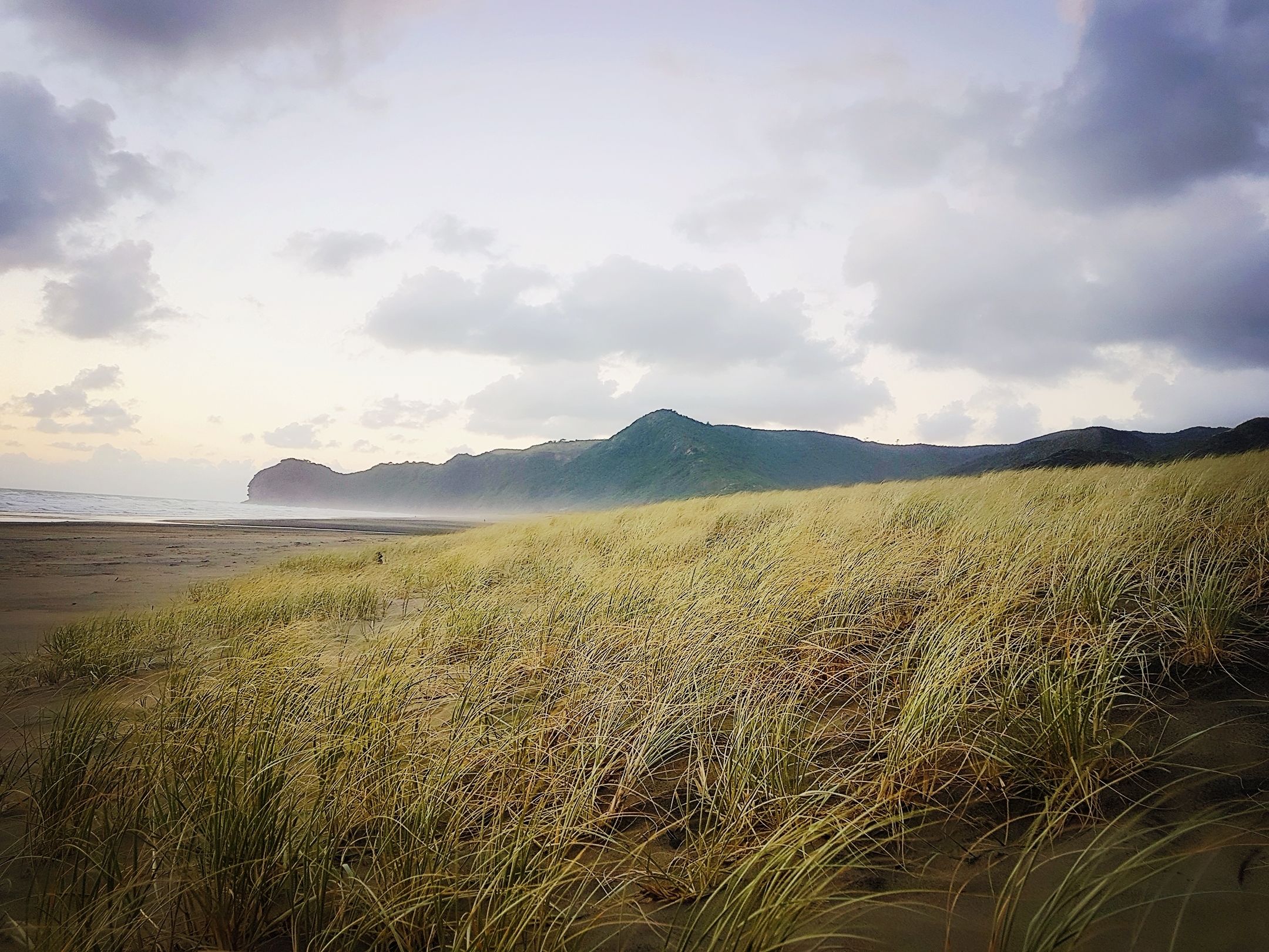 Eine Küstenlandschaft mit Dünen und einer fernen Bergkette.