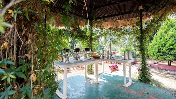 An outdoor dining area with a table set for four, surrounded by lush greenery and a thatched roof structure. - Umbrella Inn (Mahabaleshwar)
