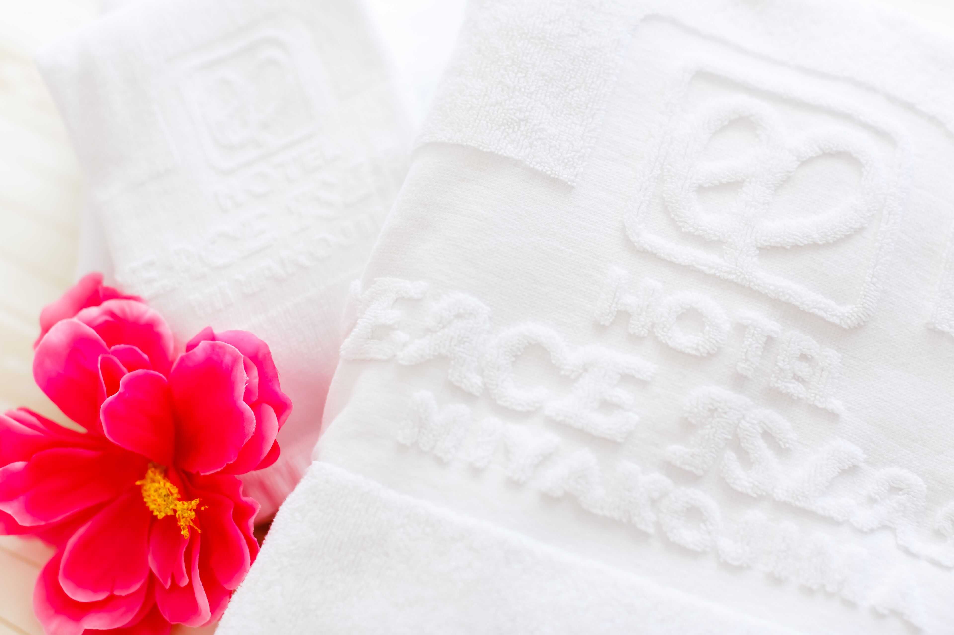 free toiletries, hair dryer, slippers, electronic bidet