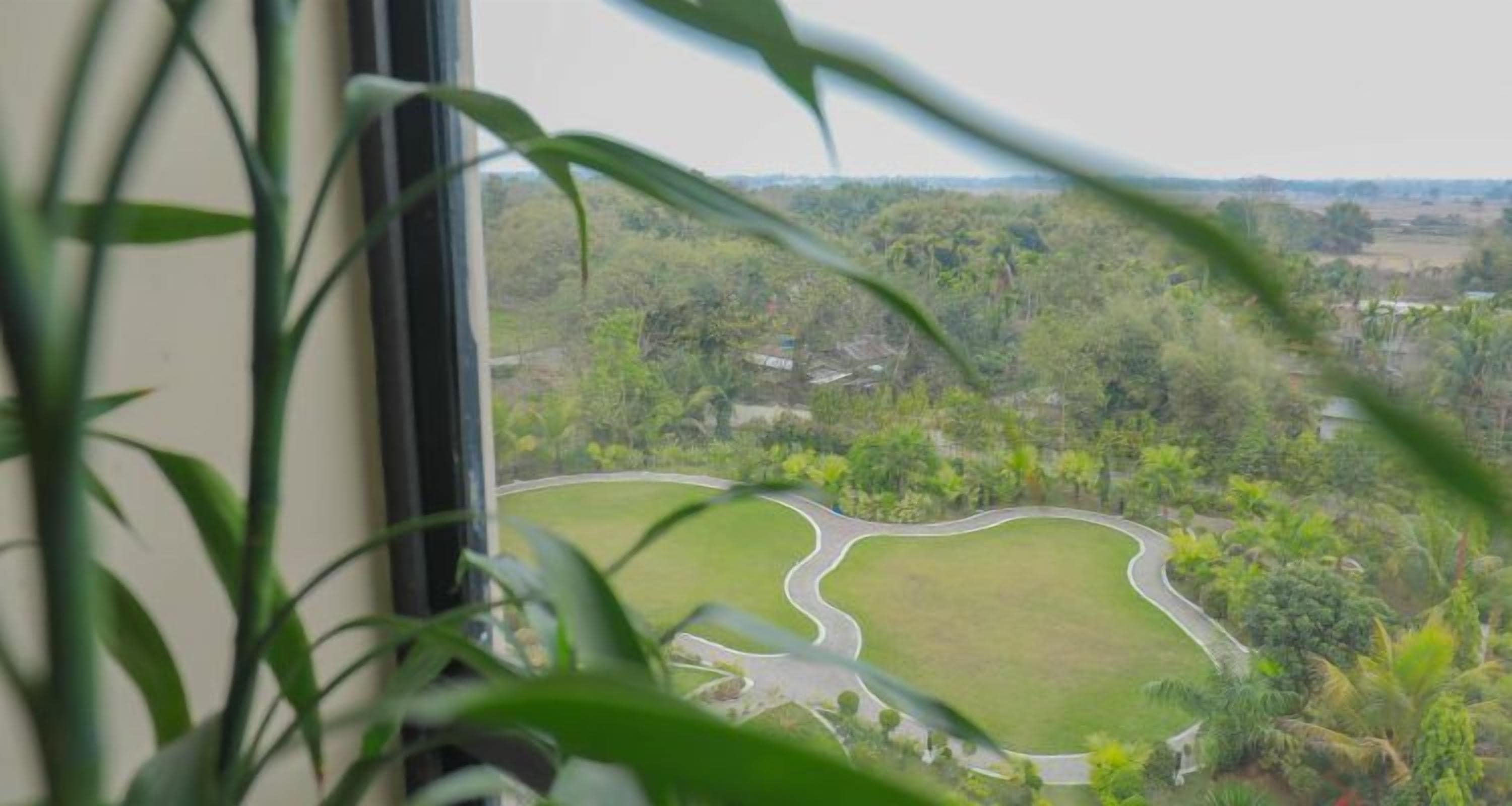 A view through a window with a green landscape, including a winding path and trees.