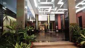 A modern lobby with a glass entrance, potted plants, and a staircase leading to the upper floor.