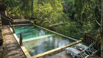 Outdoor pool, pool loungers