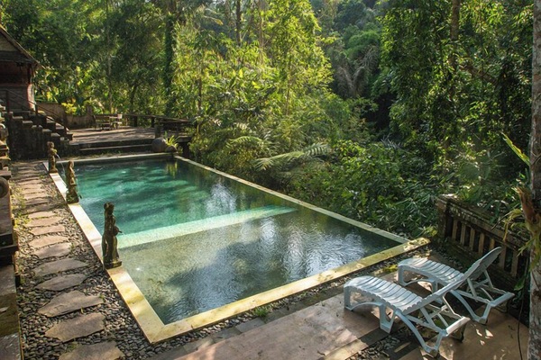 Outdoor pool, sun loungers