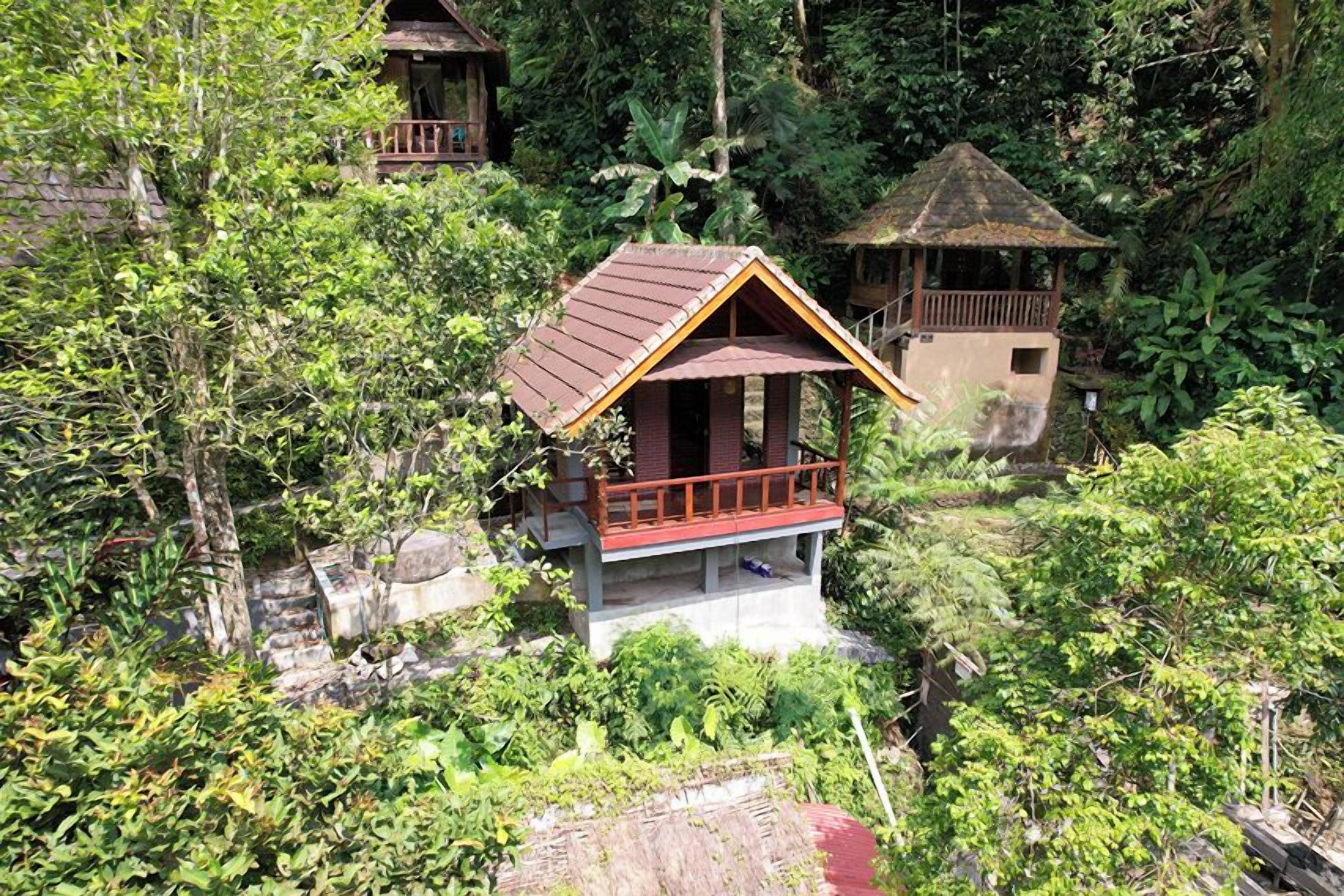 Photo - Bali Jungle Resort