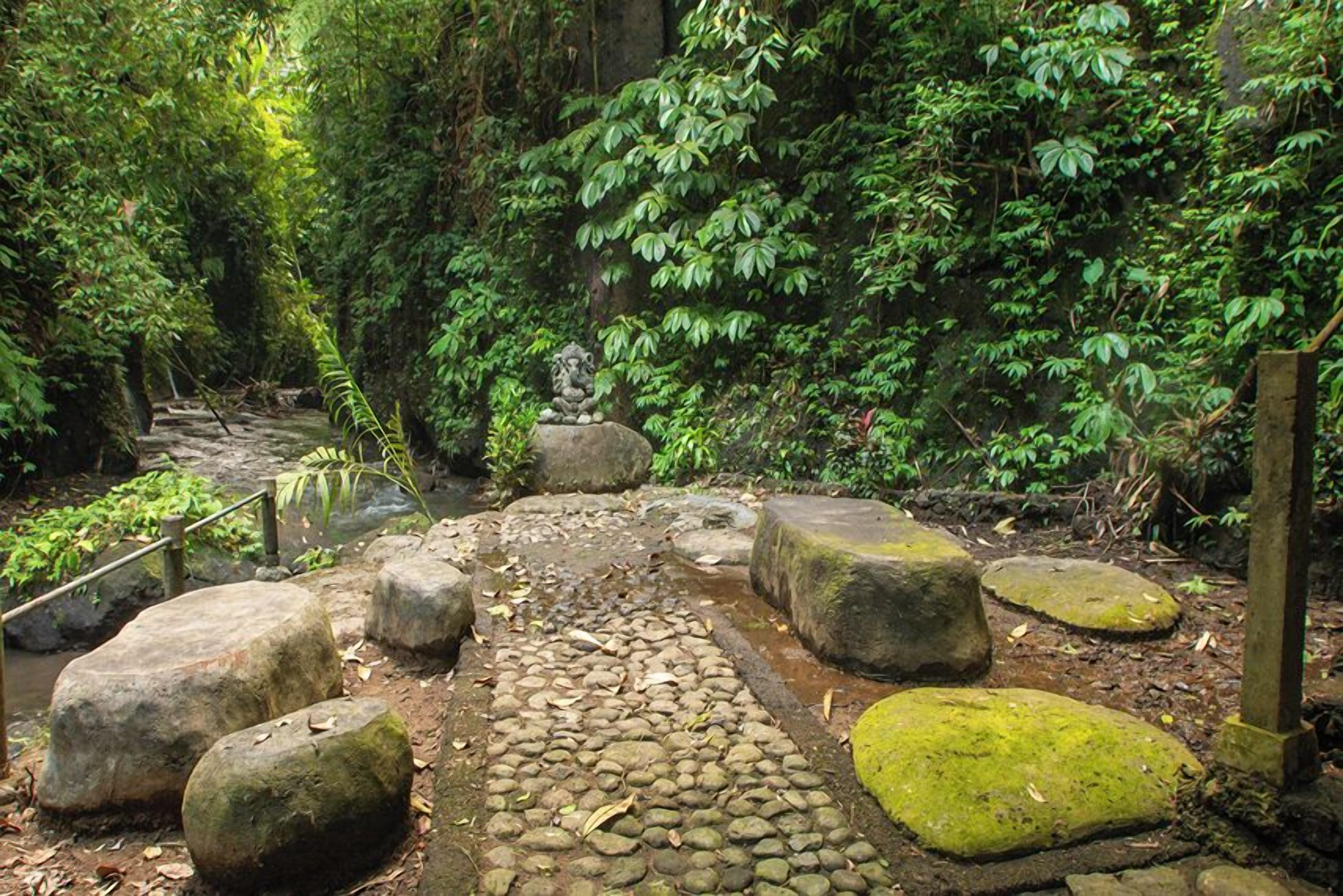 Photo - Bali Jungle Resort