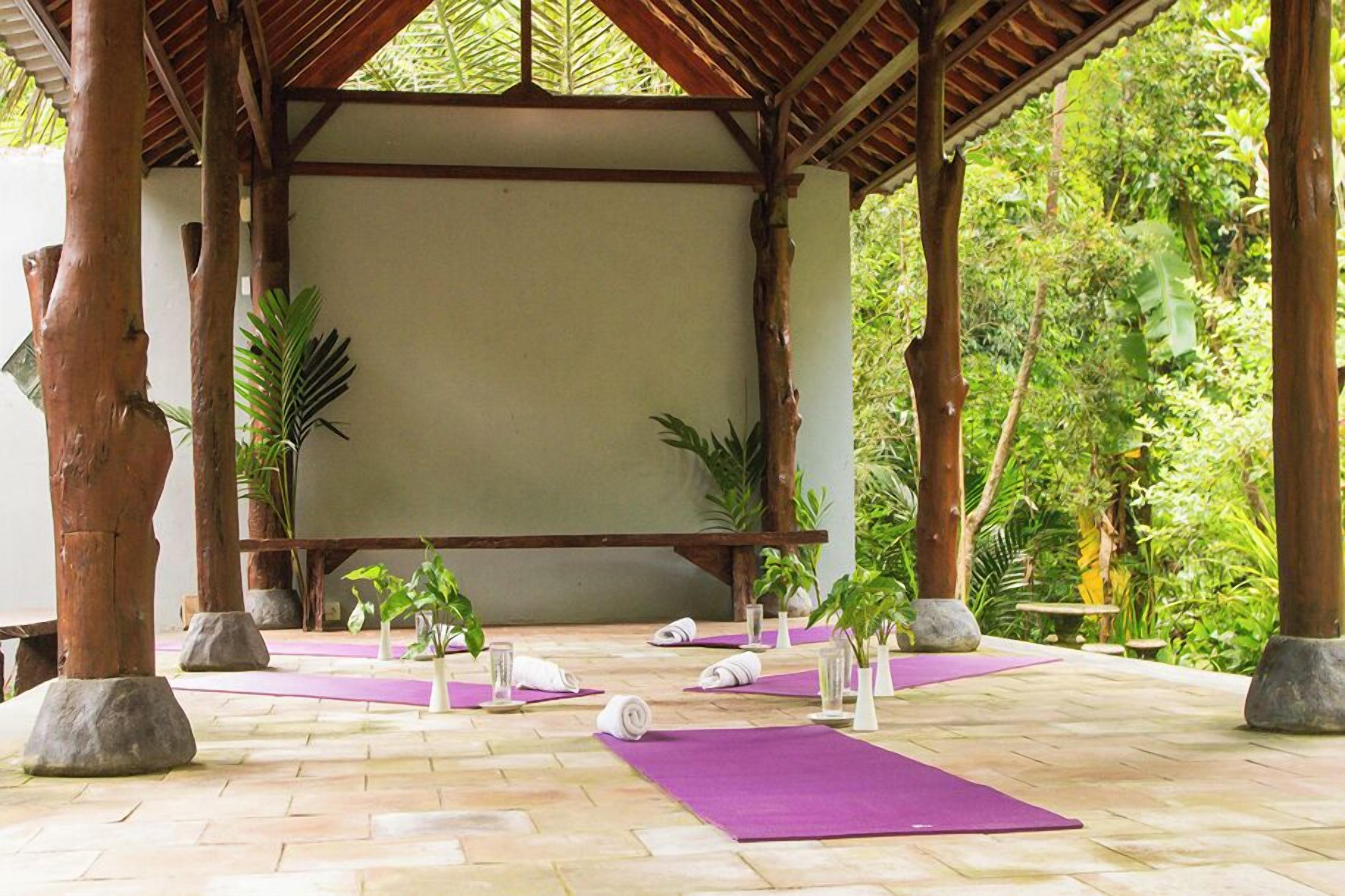 Zona de yoga al aire libre con esterillas y toallas, rodeada de árboles y una estructura de madera.