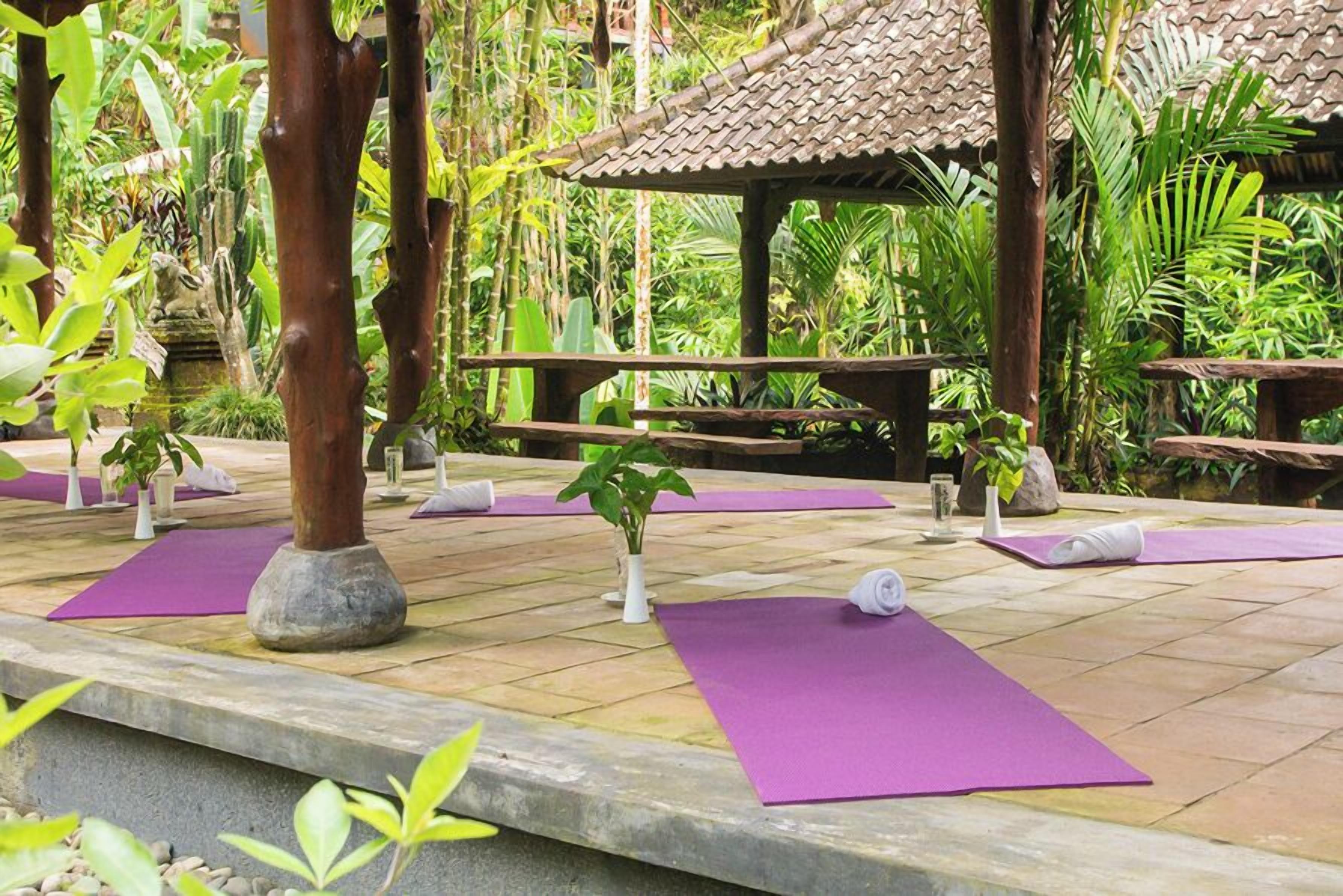 Un espacio sereno para yoga al aire libre con bancos de madera y esterillas moradas, rodeado de abundante vegetación.