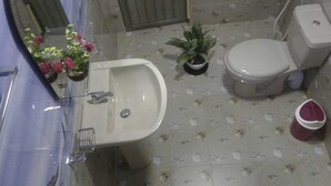Baño con lavamanos, inodoro y espejo. Hay una planta en maceta y un cubo rojo en el suelo.