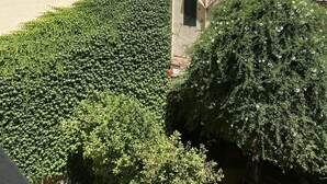 Un bâtiment doté de nombreuses fenêtres et de balcons, entouré d’une végétation luxuriante.