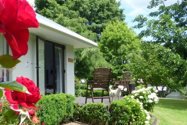 A house with a patio area featuring two wooden chairs and a small white dog.