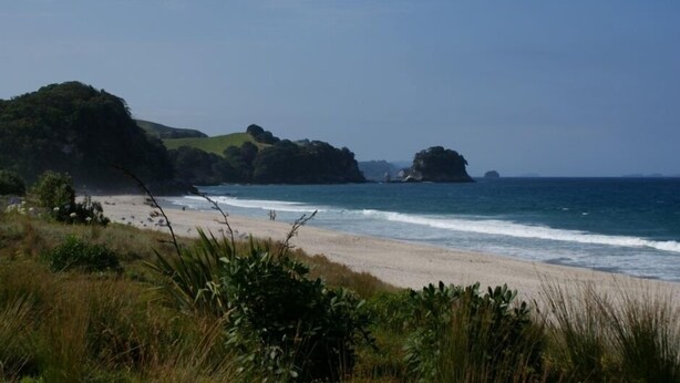 A beach with a sandy shore, grassy areas, and rocky outcrops in the background. - Tasteful spacious private garden quest house (Katikati)