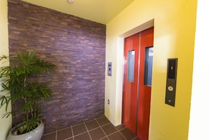 Stunning hallway with a potted plant and elevator access.