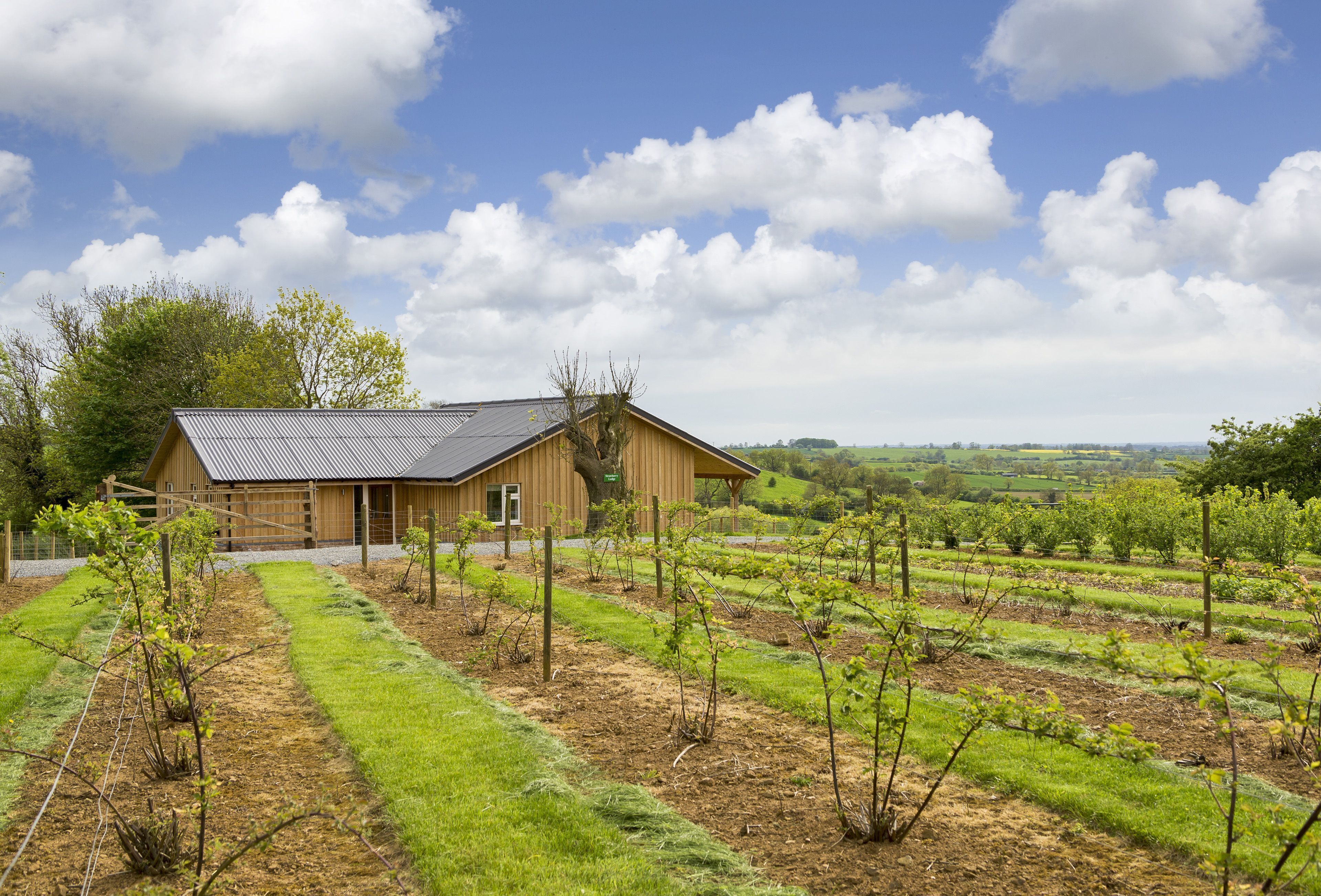 A Pick-Your-Own strawberry patch is next to Strawberry Lodge.