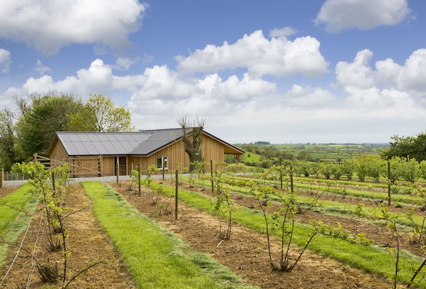 A Pick-Your-Own strawberry patch is next to Strawberry Lodge.