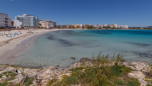 A beach with clear turquoise waters, a sandy shore, and a row of buildings with balconies overlooking the sea. - Fonoll Mari - Beautiful house two minutes from the beach in S'Illot, Manacor (Manacor)