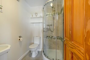A bathroom with a toilet, a glass-enclosed shower, and a wooden door.