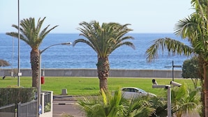 Une vue côtière avec des palmiers, une route et une étendue d’eau.