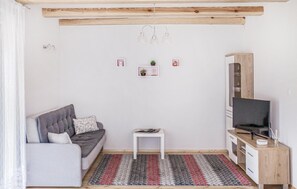 Televisión, chimenea y reproductor de DVD 