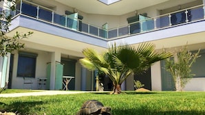 A modern building with a flat roof, large windows, and a central courtyard with a palm tree and a tortoise on the grass. - Alexanika Apartments (Sithonia)