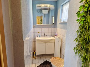 Shower, hair dryer, toilet paper