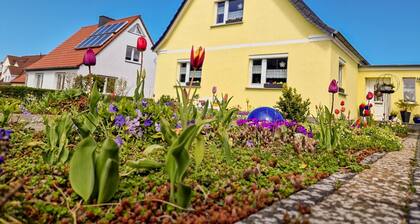 Vacation apartment Zum Seepferdchen - Holiday apartment