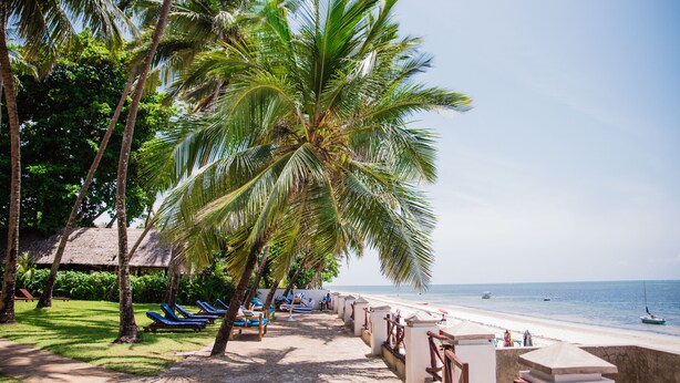 Un resort frente al mar con palmeras, sillas de descanso y vista al océano.