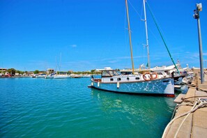 Immagine non classificata, 3 di 52, pulsante