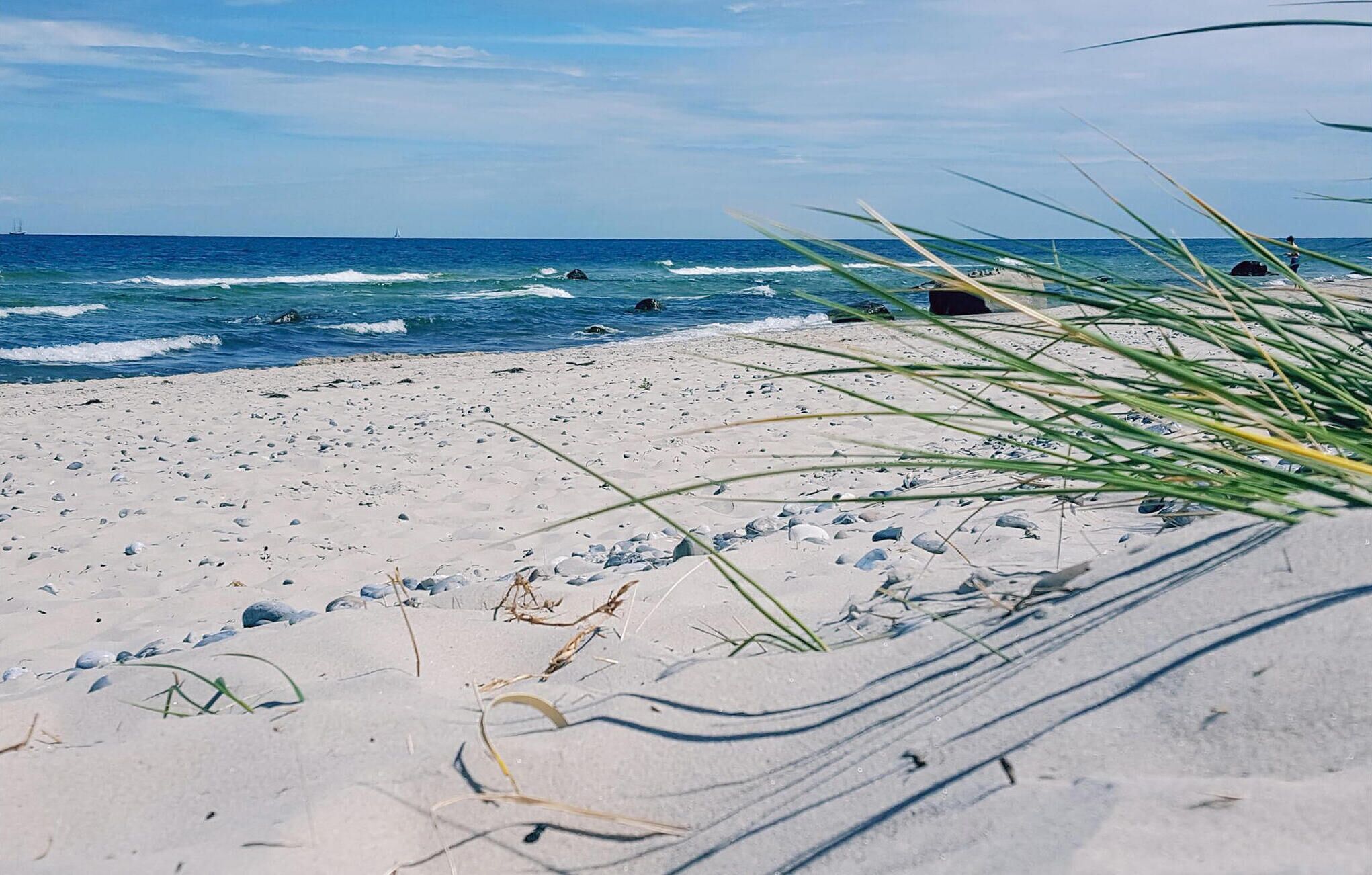靠近海滩、钓鱼