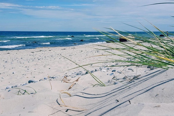Una spiaggia nelle vicinanze, pesca