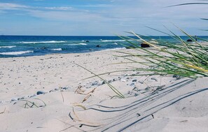 Beach nearby, fishing