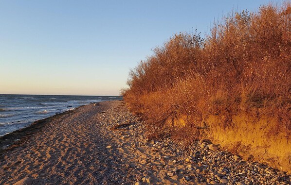 Tæt på stranden, fiskeri