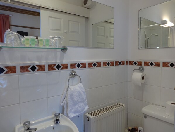 A bathroom with a sink, toilet, and shower. There is a towel hanging on the wall and toiletries on a shelf. - Dumfries Villa (Dumfries)
