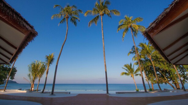 Un sendero que lleva a una playa con palmeras y un cielo despejado.