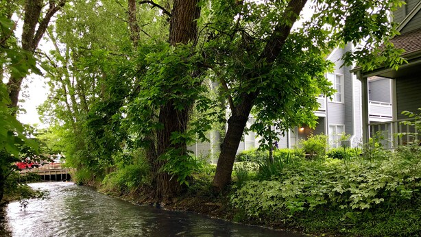 A serene waterway flanked by lush greenery and a building with a white facade. - Walnut Mews - Quiet Creekside townhome next to Pearl Street (Boulder)