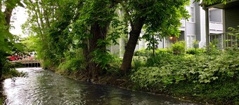 Walnut Mews - Quiet Creekside townhome next to Pearl Street