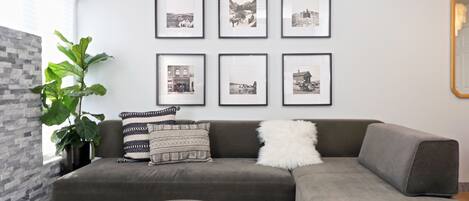 TV connectée, cheminée, livres