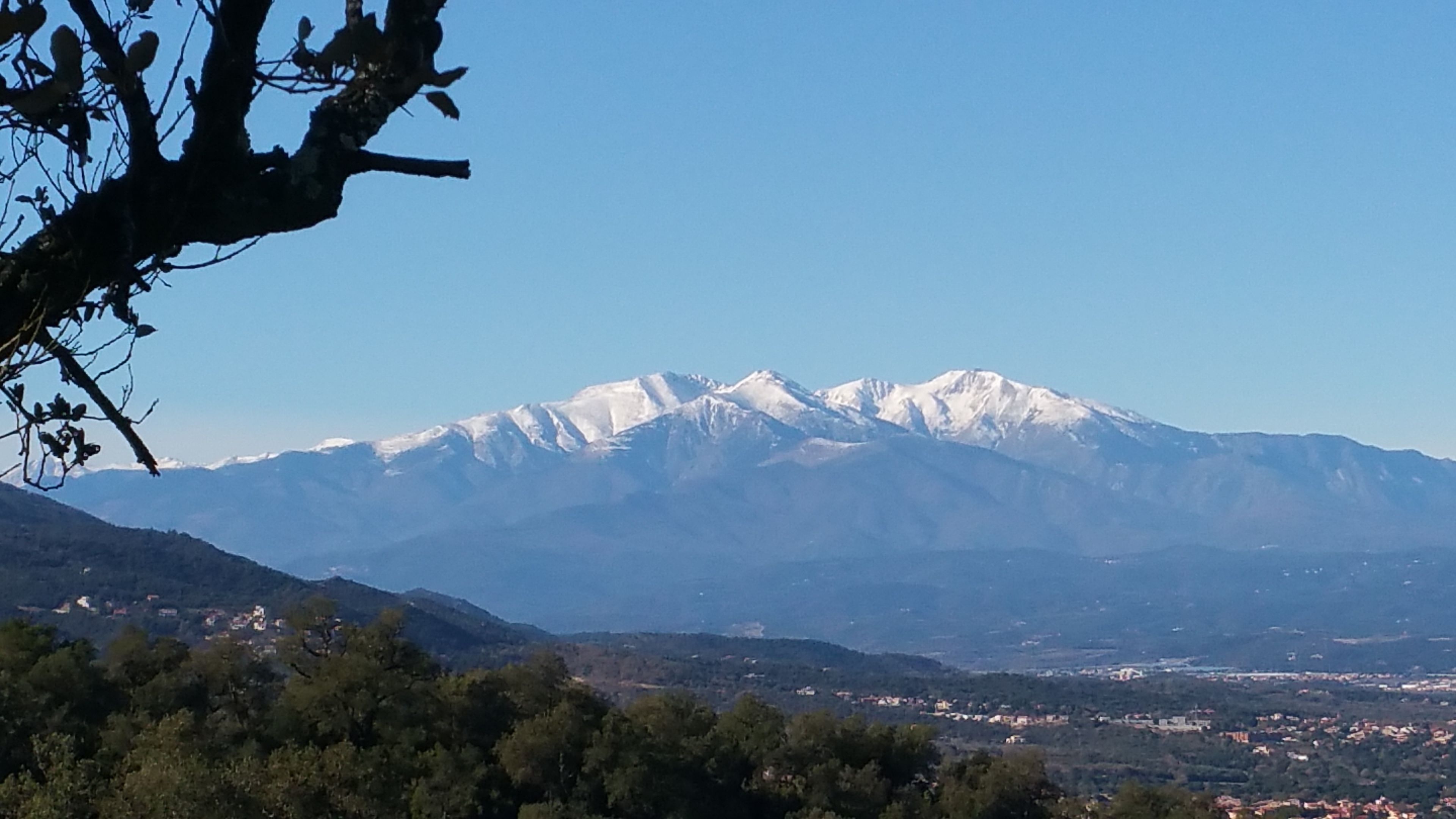 Cordillera nevada, valle con edificios dispersos y follaje verde denso en primer plano.