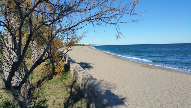 A beach with a stone wall, trees, and the ocean. - Al Pati (Sorede)