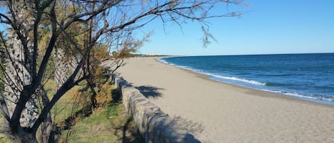 Playa en los alrededores