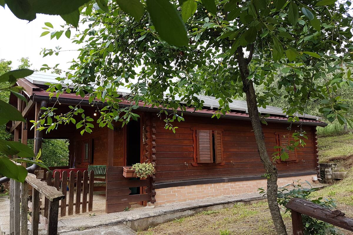 Eine rustikale Holzhütte mit Veranda, einer Bank und einem Ziegelkeller.