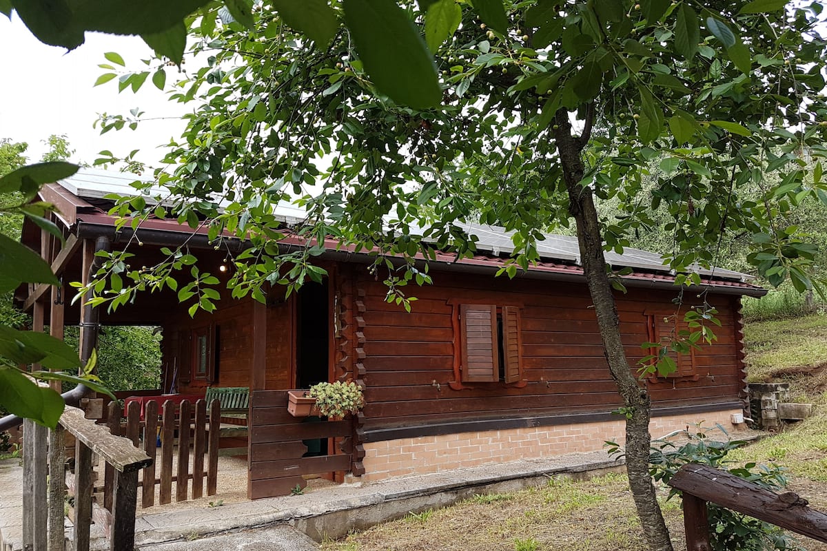 Comfort-Bungalow | Terrasse/Patio